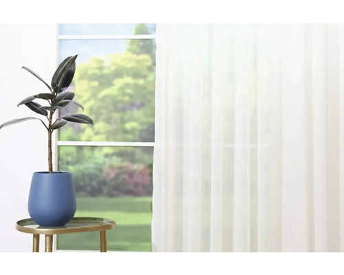 Plantă de interior în ghiveci albastru pe o măsuță laterală aurie în fața unei ferestre cu perdea.