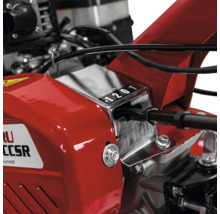 Imagine detaliată cu o motosapă