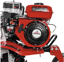 Imagine detaliată a unui bloc motor Zimbru roșu