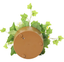Vedere de dedesubt a unui vas de plantare cu decor