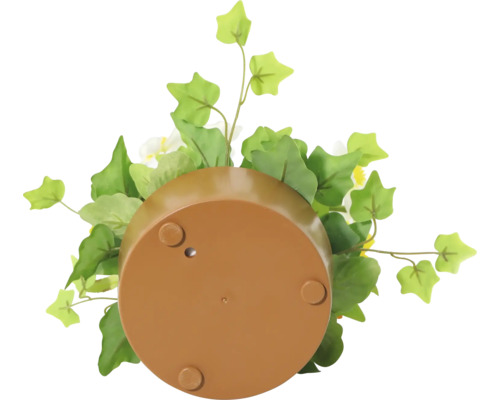 Vedere de dedesubt a unui vas de plantare cu decor