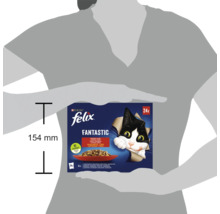 Felix Fantastic hrană pentru pisici, 24 bucăți