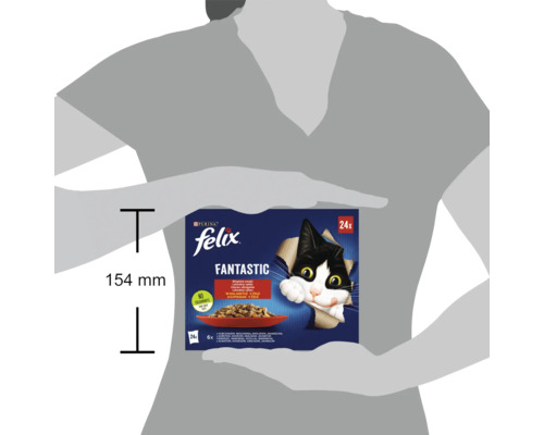 Felix Fantastic hrană pentru pisici, 24 bucăți