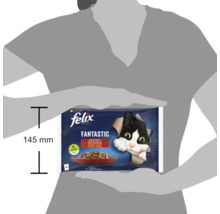 Hrană pentru pisici Felix Fantastic cu o înălțime a pachetului de 145 milimetri