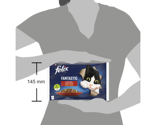 Hrană pentru pisici Felix Fantastic cu o înălțime a pachetului de 145 milimetri
