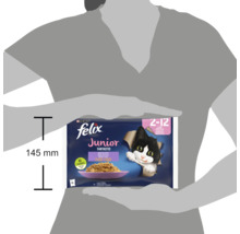 Hrană pentru pisici Felix Junior, potrivită pentru pisici de la două la douăsprezece luni, pachet cu patru porții