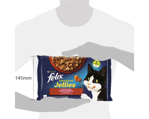 Pachet hrană pentru pisici Felix Sensations Jellies
