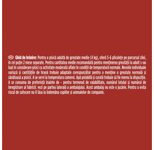 Ghid de hrănire pentru pisici