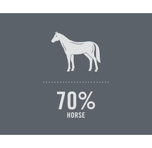 Ilustrație cu un cal cu textul 70% cal