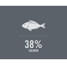 Imagine simbol: 38 la sută somon