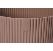 Prim-plan cu un vas de flori canelat