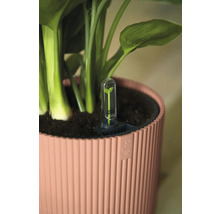 Ghiveci de flori cu indicator de nivel al apei