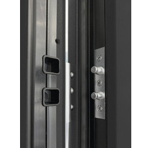 Plan apropiat al unui sistem de blocare a ușii cu două bolțuri de siguranță argintii și orificii negre în tocul ușii.