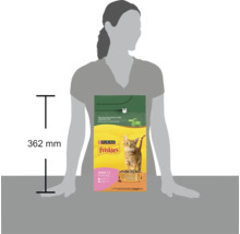 Compararea dimensiunii unui sac de 1,5 kilograme de hrană pentru pui de pisică Purina Friskies Junior lângă o persoană, înălțime 362 milimetri.