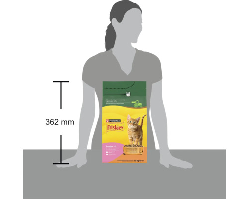 Compararea dimensiunii unui sac de 1,5 kilograme de hrană pentru pui de pisică Purina Friskies Junior lângă o persoană, înălțime 362 milimetri.