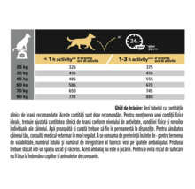 Ghid de hrănire pentru câini cu cantități zilnice în grame în funcție de greutatea în kilograme și timpul de activitate pe zi.