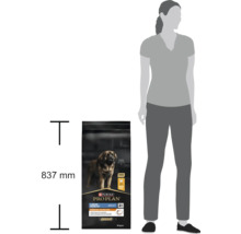 14 kilograme de hrană Purina Pro Plan Adult Large Robust lângă o siluetă pentru compararea dimensiunii. Sacul are 837 milimetri înălțime.