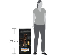 Un sac de 14 kilograme de hrană uscată pentru câini Purina Pro Plan Large Athletic Adult lângă silueta unei persoane pentru compararea mărimii.