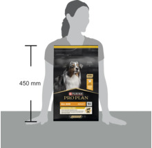 Purina Pro Plan hrană pentru câini adulți All Size Light Sterilised cu pui, înălțime 450 milimetri, scară lângă o persoană.