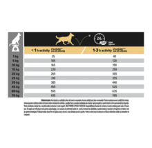 Ghid de hrănire pentru câini cu rații zilnice recomandate în grame în funcție de greutate și nivelul de activitate.