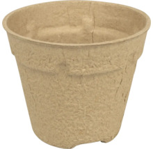 Ghiveci rotund pentru răsaduri, fabricat din material fibros biodegradabil pentru cultivarea plantelor.