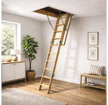 Scară de mansardă pliabilă din lemn, extinsă într-o cameră luminoasă cu podea din lemn și plantă de apartament.