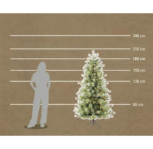 Brad de Crăciun artificial cu iluminare și efect de zăpadă, înălțime 210 centimetri în comparație cu o persoană.