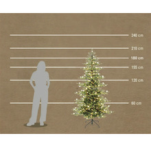 Brad de Crăciun artificial cu iluminare LED într-o comparație de dimensiuni cu o persoană și indicații de înălțime de până la 240 centimetri.