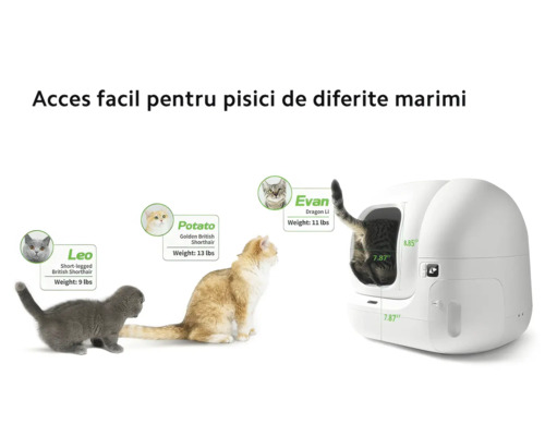 Litieră automată cu autocurățare pentru pisici de diferite dimensiuni, cu specificații privind dimensiunile accesului.