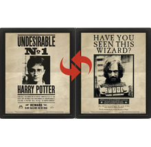 Poster lenticular 3D Harry Potter în ramă neagră cu motiv schimbător cu Harry Potter și Sirius Black.