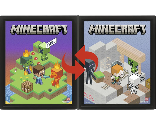 Set de rame Minecraft cu două rame negre și postere reversibile cu Steve, Alex și alte personaje din joc.