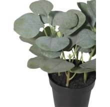 Plantă artificială de eucalipt cu frunze rotunde într-un ghiveci negru.