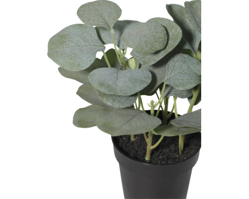 Plantă artificială de eucalipt cu frunze rotunde într-un ghiveci negru.