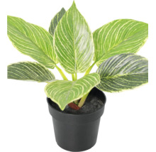 Philodendron Birkin artificial într-un ghiveci din plastic negru, frunze dungate din plastic.