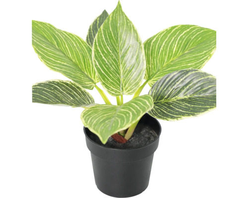 Philodendron Birkin artificial într-un ghiveci din plastic negru, frunze dungate din plastic.