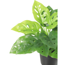 Plantă de interior artificială Monstera adansonii într-un ghiveci negru, frunze cu orificii.