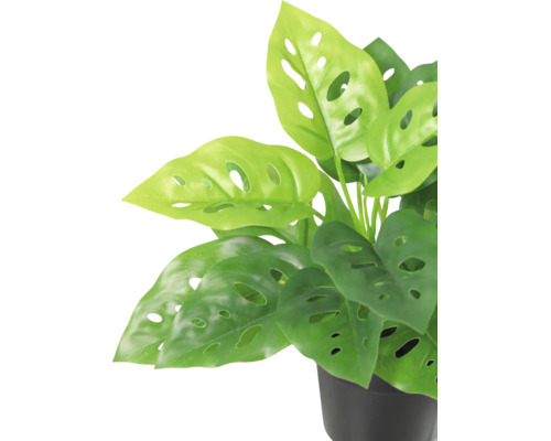 Plantă de interior artificială Monstera adansonii într-un ghiveci negru, frunze cu orificii.