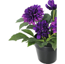 Dalie artificială în ghiveci negru cu flori violete și frunze verzi.