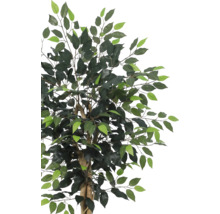 Plantă artificială Ficus cu frunze verzi și ramuri ramificate pe un trunchi maro.