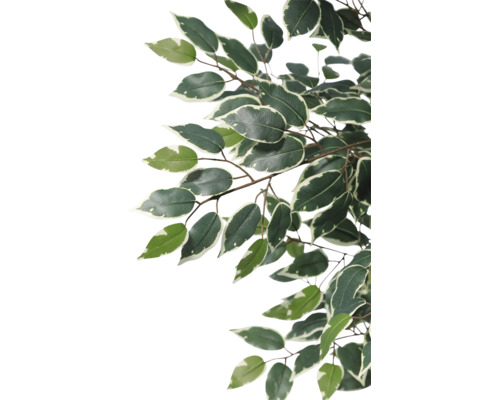 Creangă de Ficus Benjamini artificială cu frunze verzi-albe