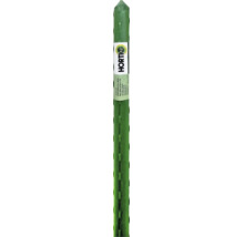 Arac verde striat pentru plante cu Horti A-Z Logo.