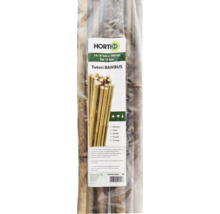Tutori din bambus Horti A-Z, set de 10 bucăți, diametru 14 la 16 milimetri, lungime 180 centimetri.
