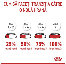 Infografic despre tranziția la o hrană nouă în 7 zile, cu creștere treptată la 25, 50, 75 și 100 la sută. Logo Royal Canin.