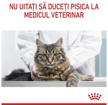 Pisică examinată de un medic veterinar, Royal Canin Logo și textul Nu uitați să duceți pisica la medicul veterinar.