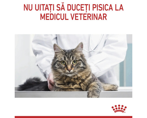Pisică examinată de un medic veterinar, Royal Canin Logo și textul Nu uitați să duceți pisica la medicul veterinar.