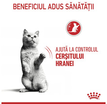 Pisică pe picioarele din spate. Textul descrie beneficiul pentru sănătate privind controlul cerșitului de hrană. Logo Royal Canin.