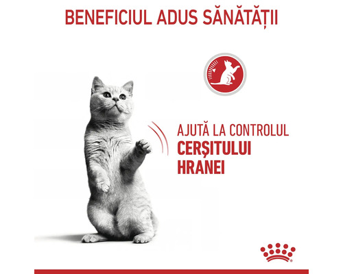 Pisică pe picioarele din spate. Textul descrie beneficiul pentru sănătate privind controlul cerșitului de hrană. Logo Royal Canin.