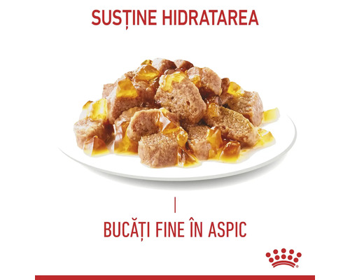Logo Royal Canin, hrană umedă pentru pisici cu bucăți fine în aspic pentru susținerea hidratării.
