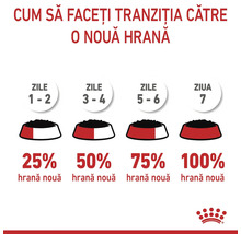 Tranziția la hrană nouă în 7 zile: zilele 1 și 2 cu 25 la sută, 3 și 4 cu 50, 5 și 6 cu 75, ziua 7 cu 100 la sută hrană nouă. Royal Canin Logo.