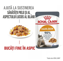 Hrană umedă Royal Canin Hair and Skin pentru pisici, bucățele fine în aspic pentru sănătatea pielii și a blănii. Royal Canin Logo.